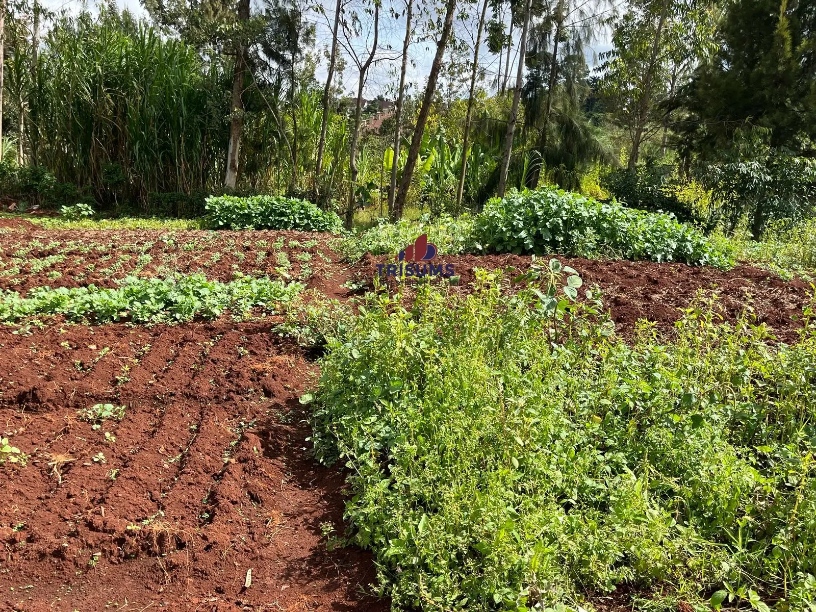 Prime 2.1 Acres for Sale